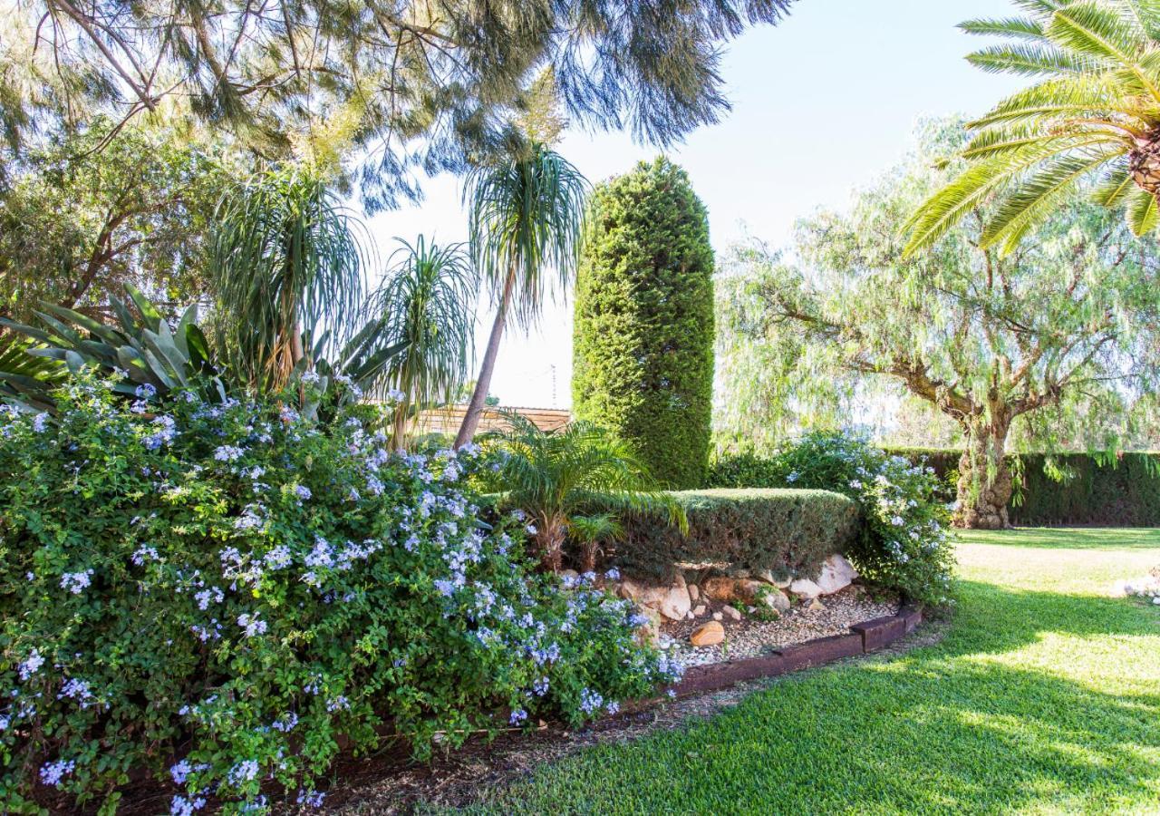 Casa Segaria Vila Dénia Exterior foto